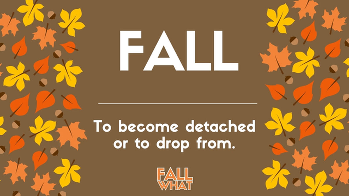 Fall What image number null